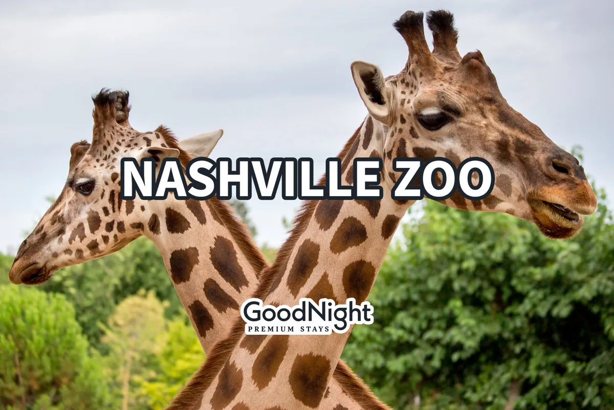A joyful exterior view at the Nashville Zoo, featuring giraffes and lush green foliage. The scene radiates a sense of adventure and discovery, ideal for family outings and wildlife exploration.